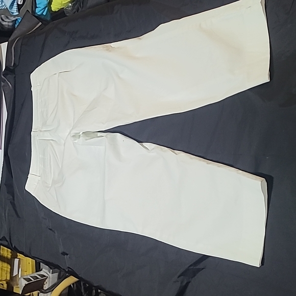 Talbots Womens Pants - Picture 4 of 11